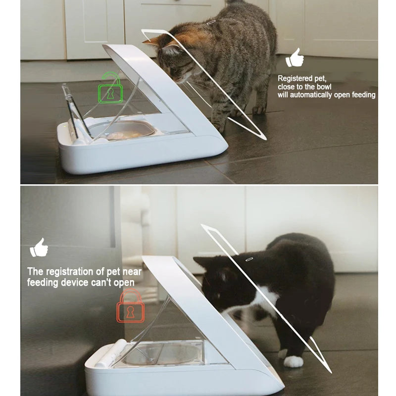 UK Replacements Chip Recognition Sensor