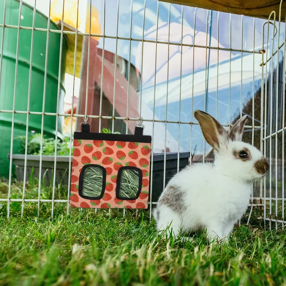 Dispenser Container for Rabbit Guinea Pig